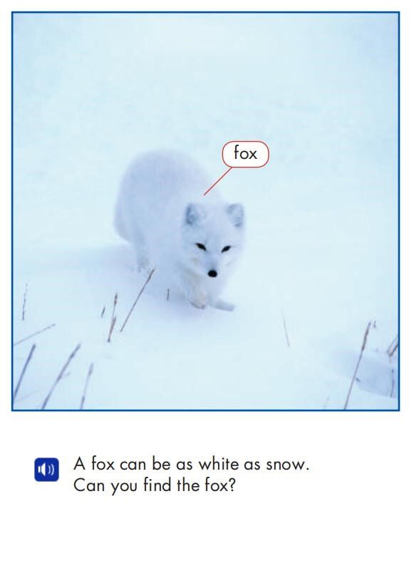 As White as Snow绘本故事第5页