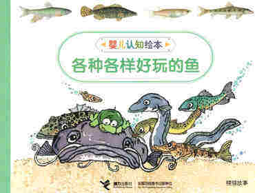 各种各样好玩的鱼