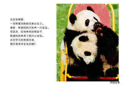 亲子绘本 你好！熊猫兄弟绘本故事第2页