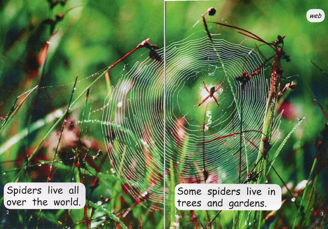 super spiders绘本故事第3页