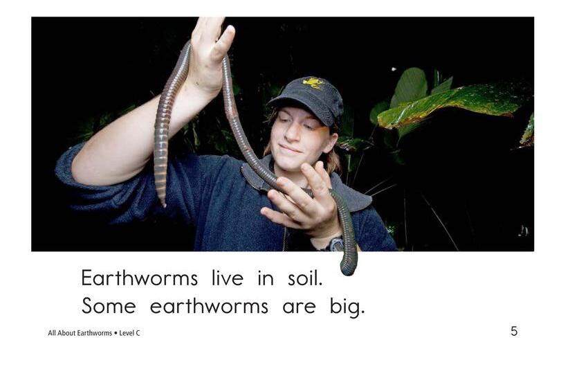 All About Earthworms绘本故事第5页