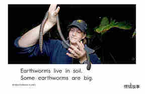 All About Earthworms绘本故事第5页