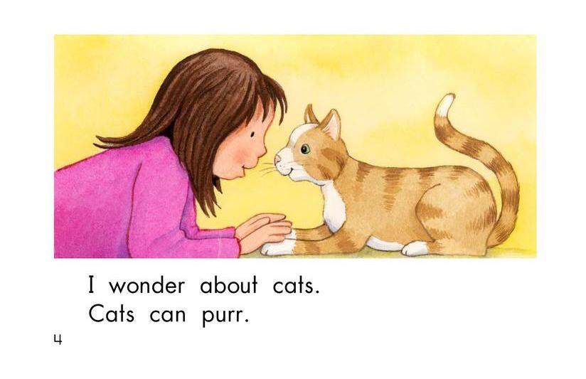 I Wonder绘本故事第4页