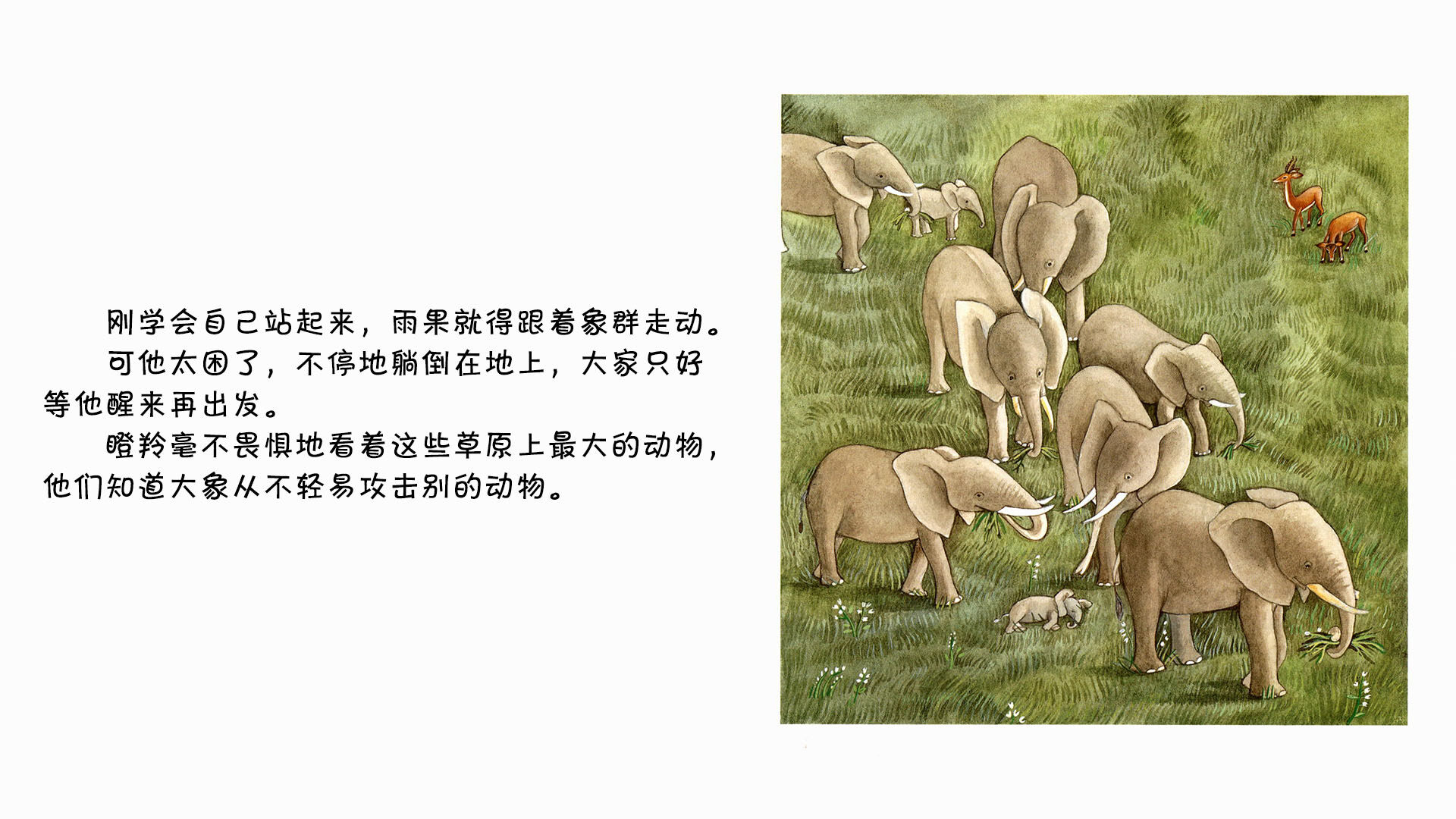 大象绘本故事第4页