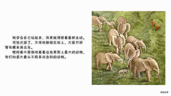 大象绘本故事第4页