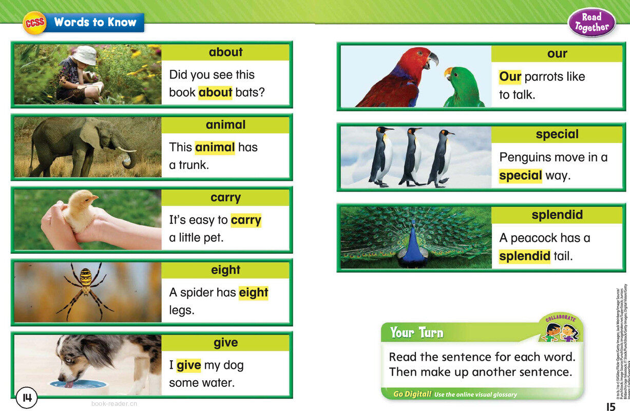 G1 Unit 4绘本故事第5页