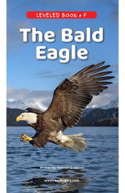 The Bald Eagle绘本故事第2页