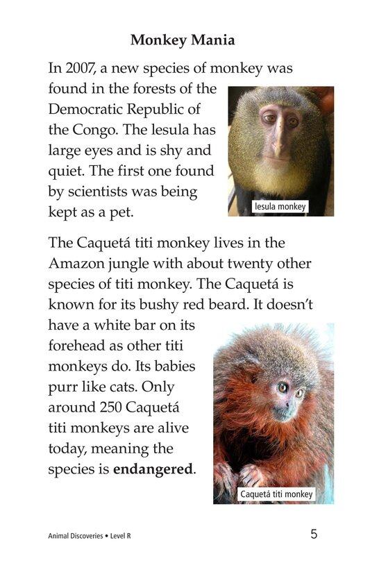 Animal Discoveries绘本故事第4页