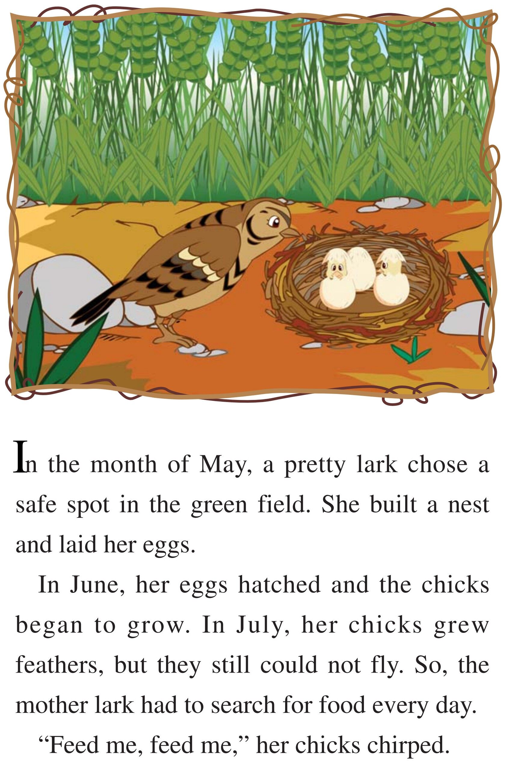 Harvest Time绘本故事第3页