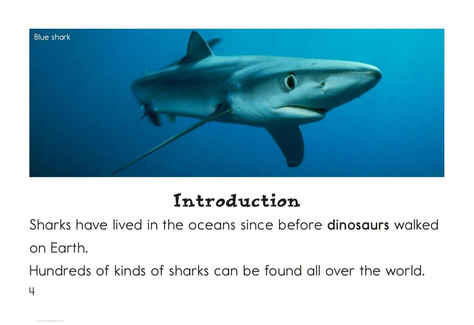 Sharks绘本故事第3页