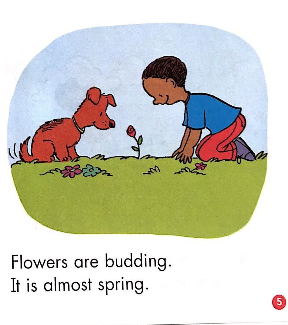 Almost spring绘本故事第5页