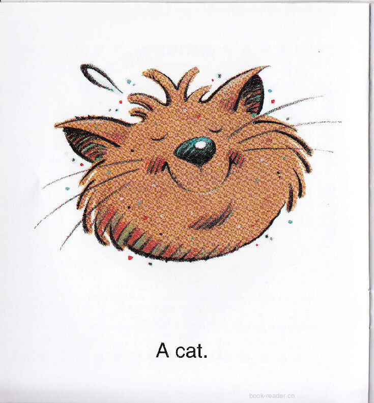 Fat Cat绘本故事第3页