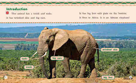 All About African Elephants绘本故事第3页