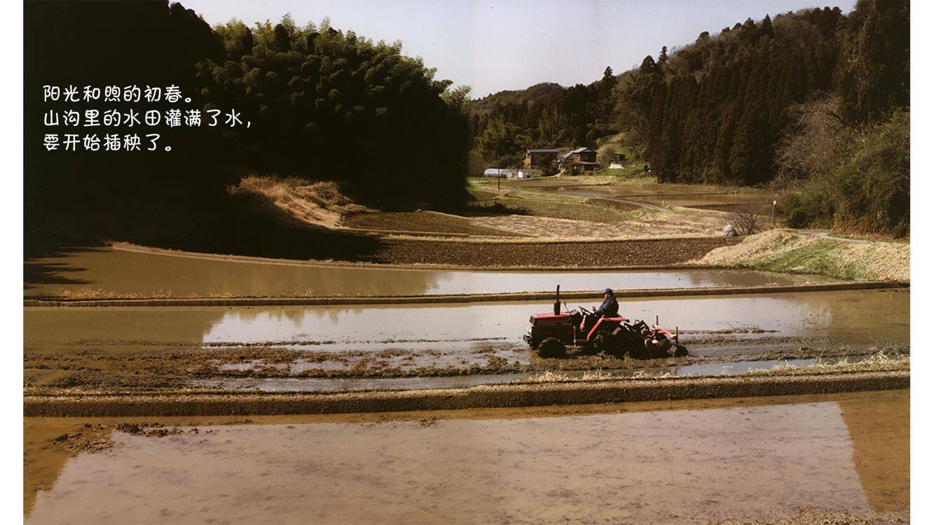 诞生了！小鲵绘本故事第3页