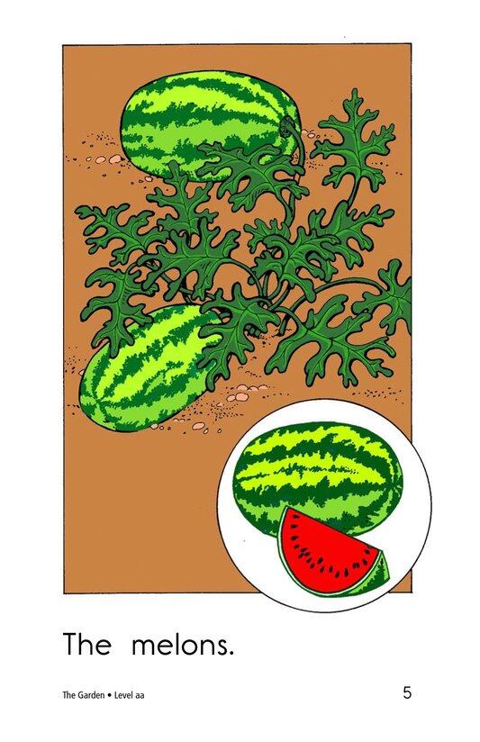 The Garden绘本故事第5页