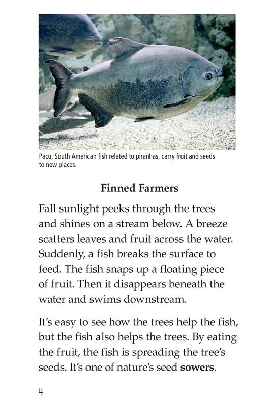 The Seed Sowers绘本故事第3页