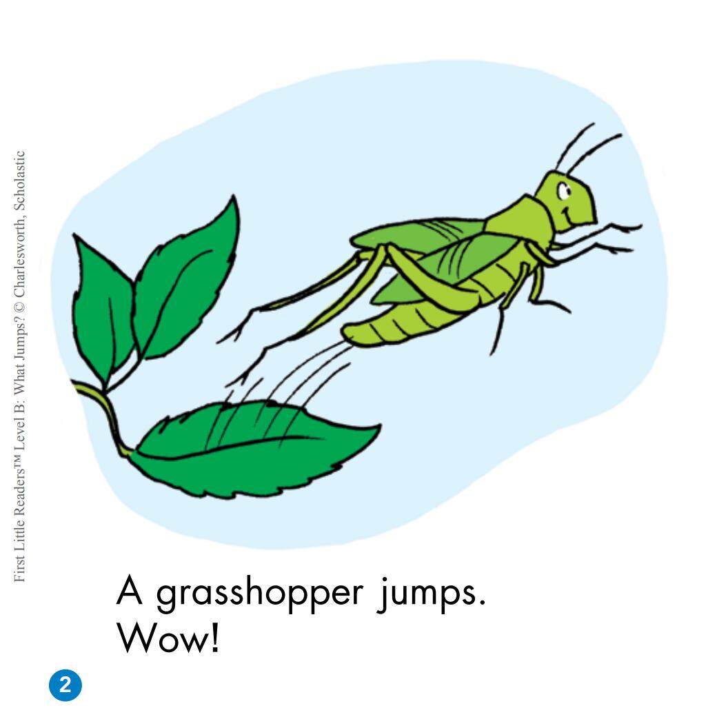 What Jumps绘本故事第3页