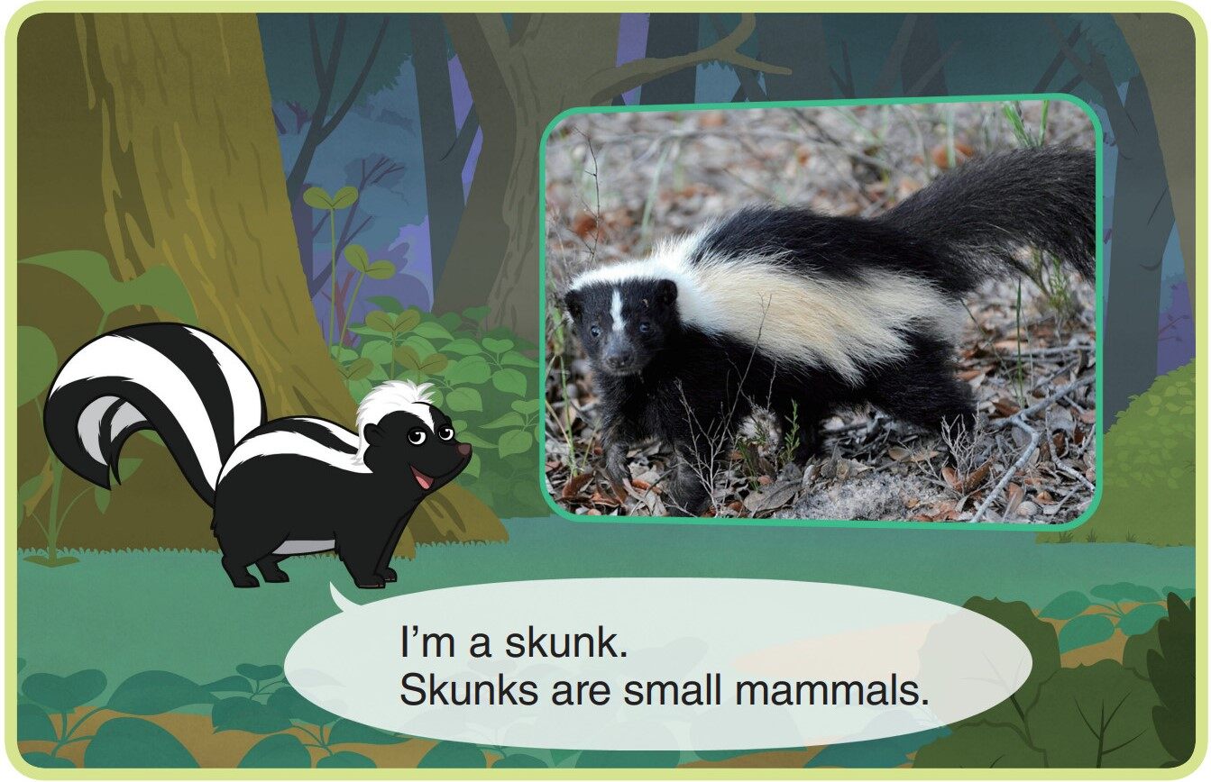 Skunk绘本故事第3页