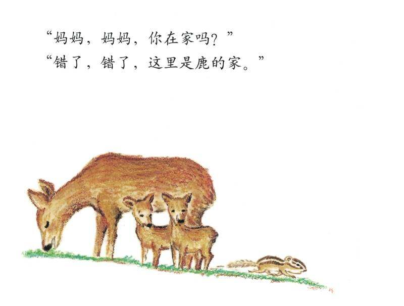 这是谁的家绘本故事第4页