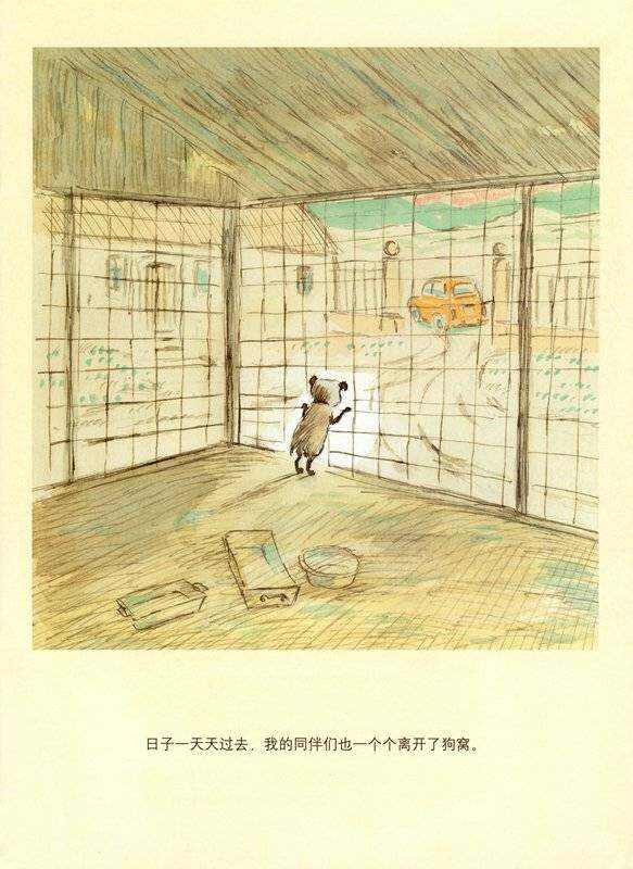 我的名字叫波特绘本故事第4页