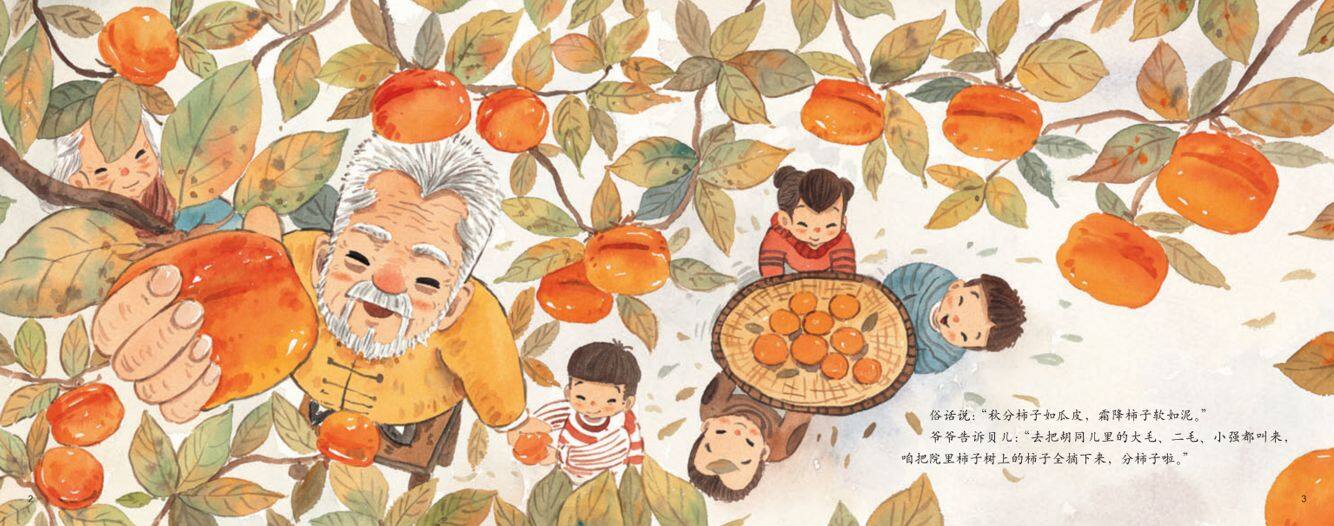 霜降·柿子红绘本故事第4页