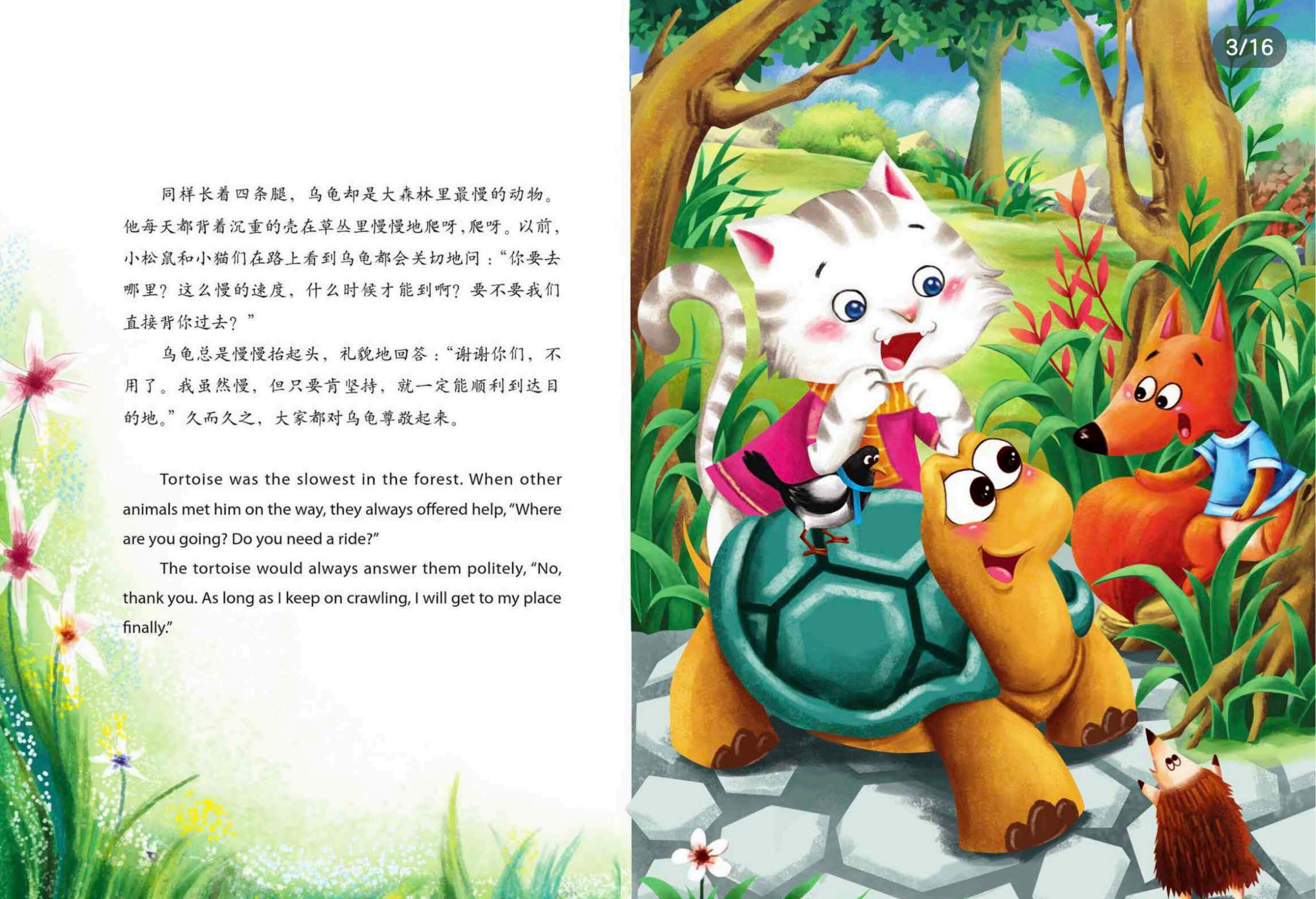 龟兔赛跑绘本故事第3页