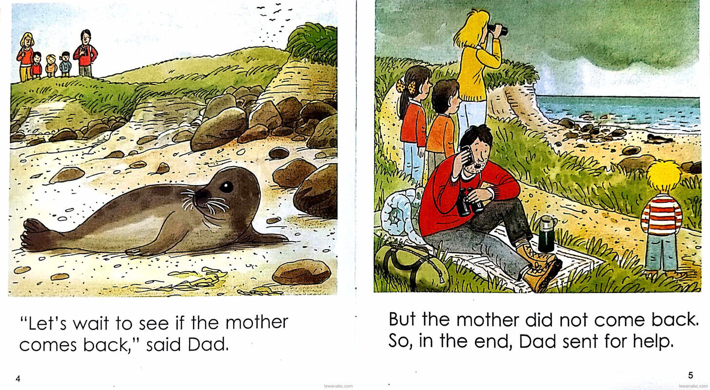 The Seal Pup绘本故事第5页