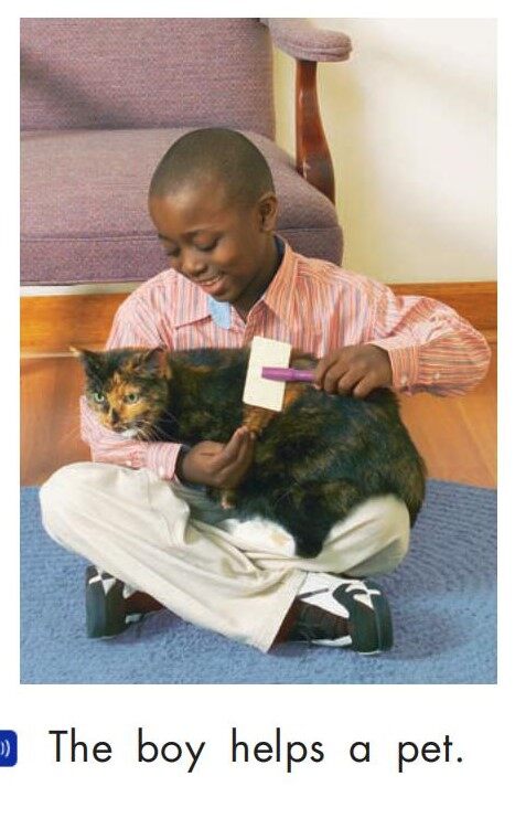 Helping pets绘本故事第3页