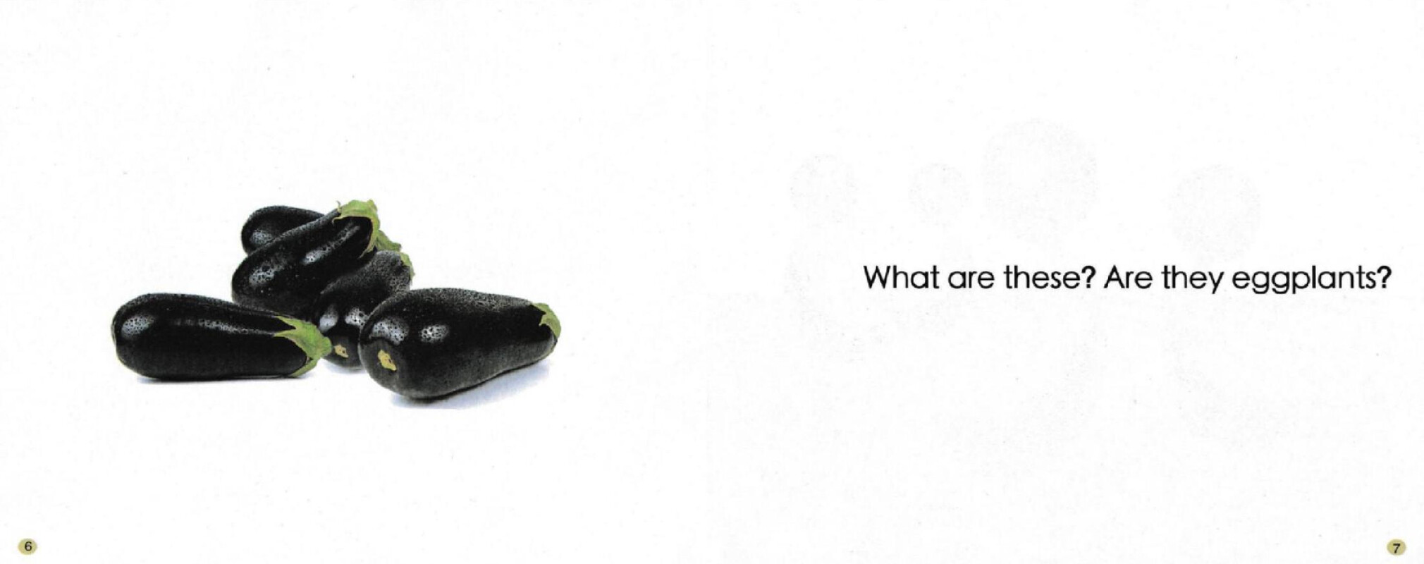 Guess What Are These绘本故事第5页