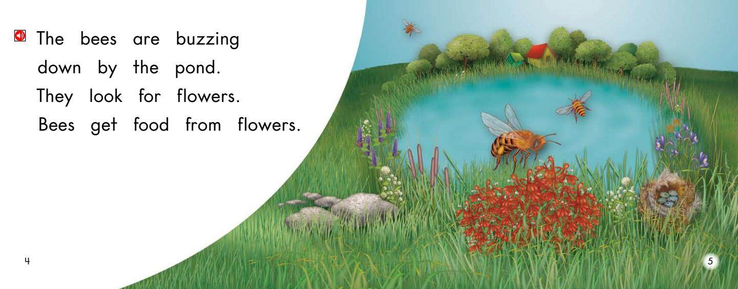 Down by the Pond绘本故事第4页