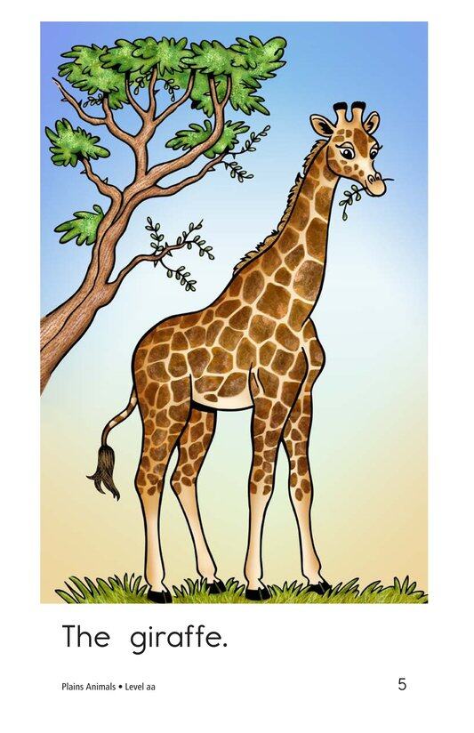 Plains Animals绘本故事第5页