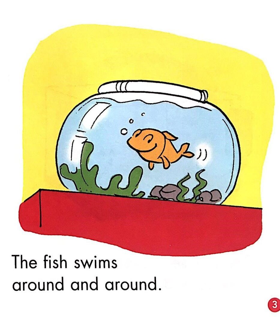 Class pets绘本故事第3页