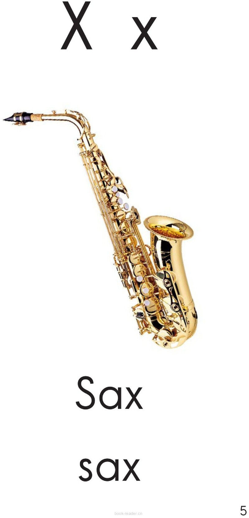 Letter X绘本故事第5页