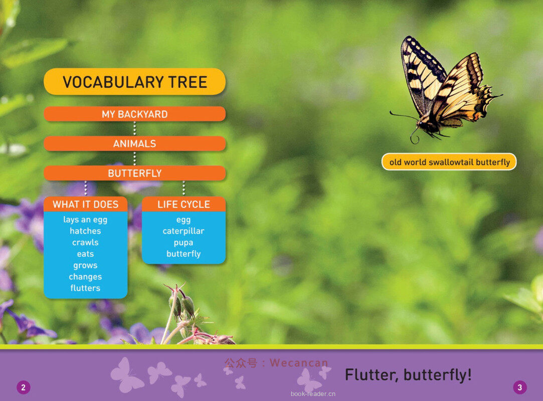 Flutter Butterfly绘本故事第3页