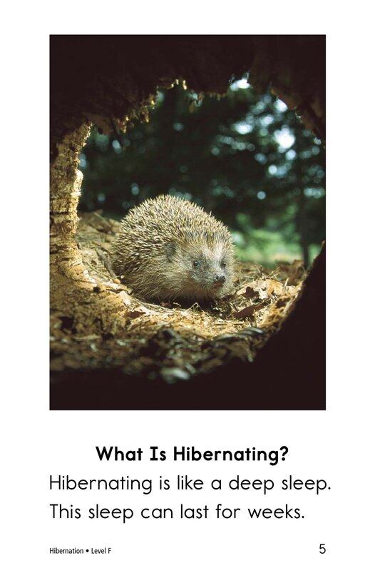 Hibernation绘本故事第4页