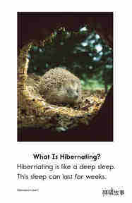 Hibernation绘本故事第4页