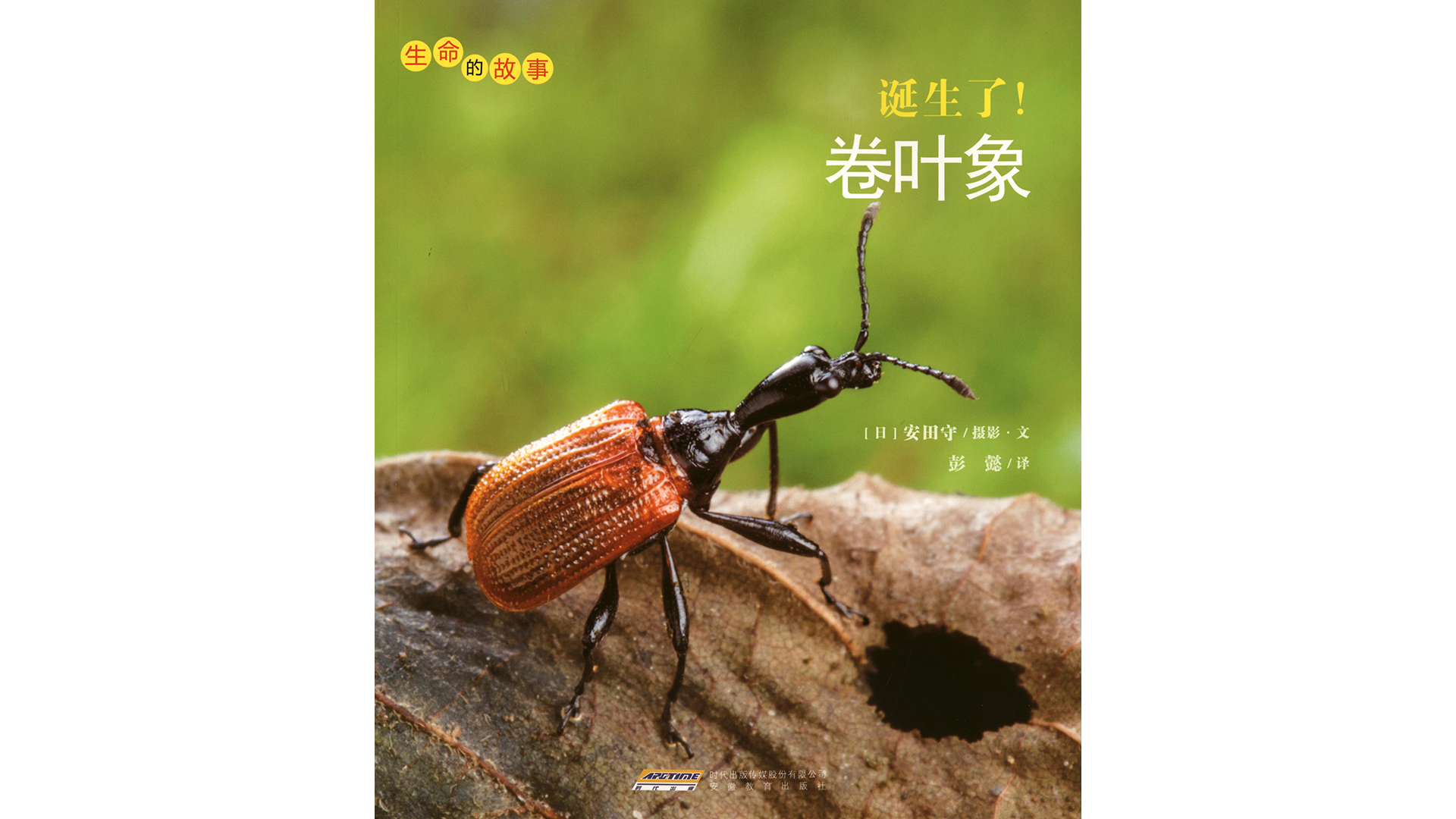 诞生了！卷叶象绘本故事第2页