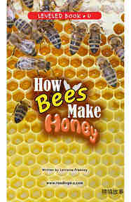 How Bees Make Honey
