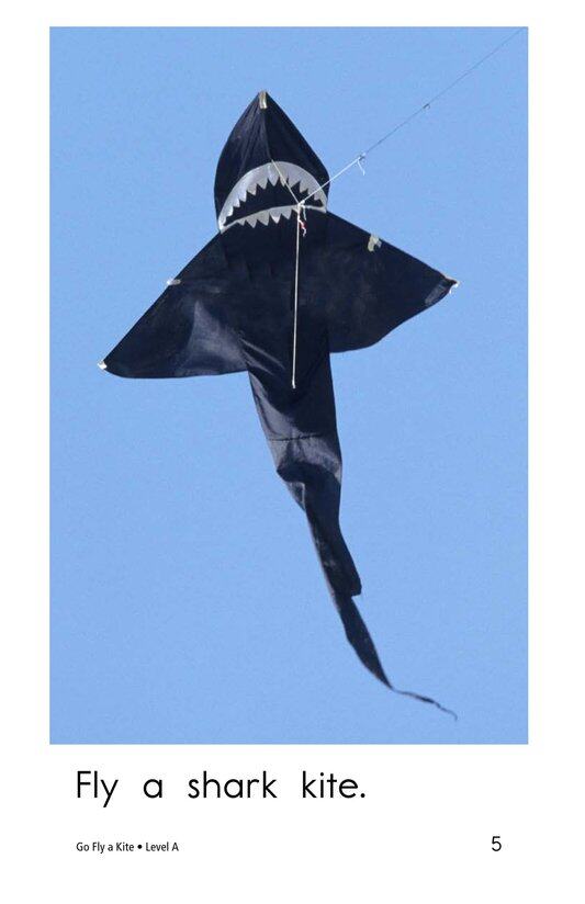 Go Fly a Kite绘本故事第5页