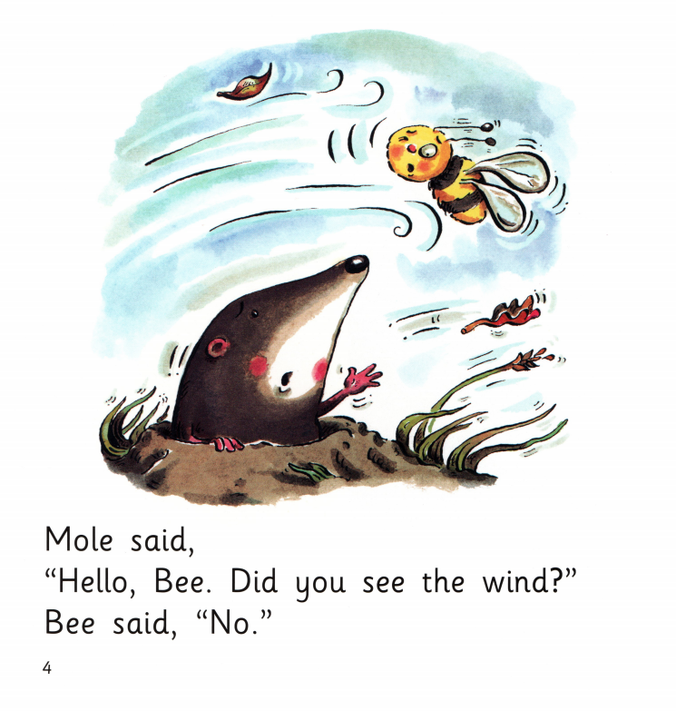 Where is the Wind绘本故事第4页