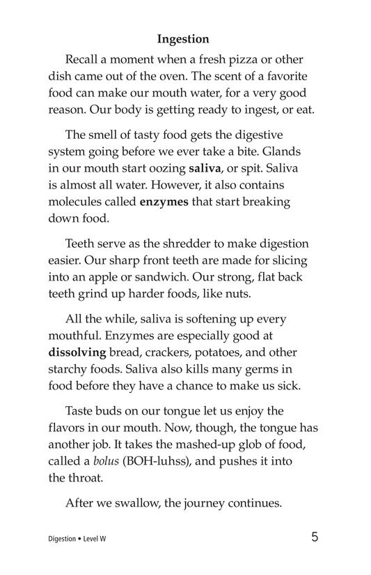 Digestion绘本故事第4页