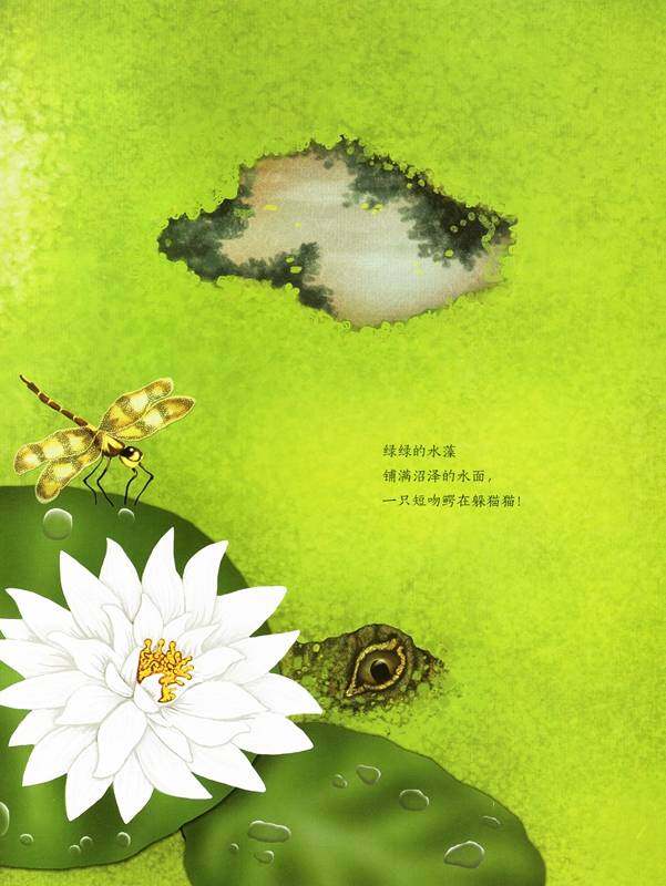 动物成长故事绘本：鳄鱼觅食记绘本故事第2页