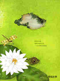 动物成长故事绘本：鳄鱼觅食记绘本故事第2页