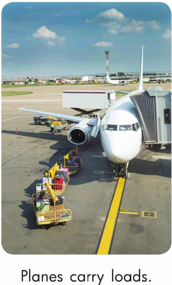 What Carries Loads?绘本故事第5页