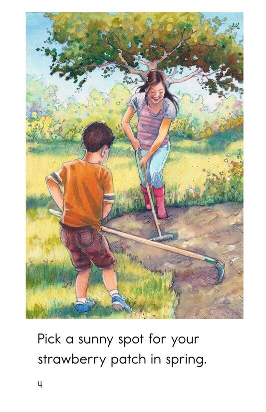 The First Strawberry绘本故事第4页