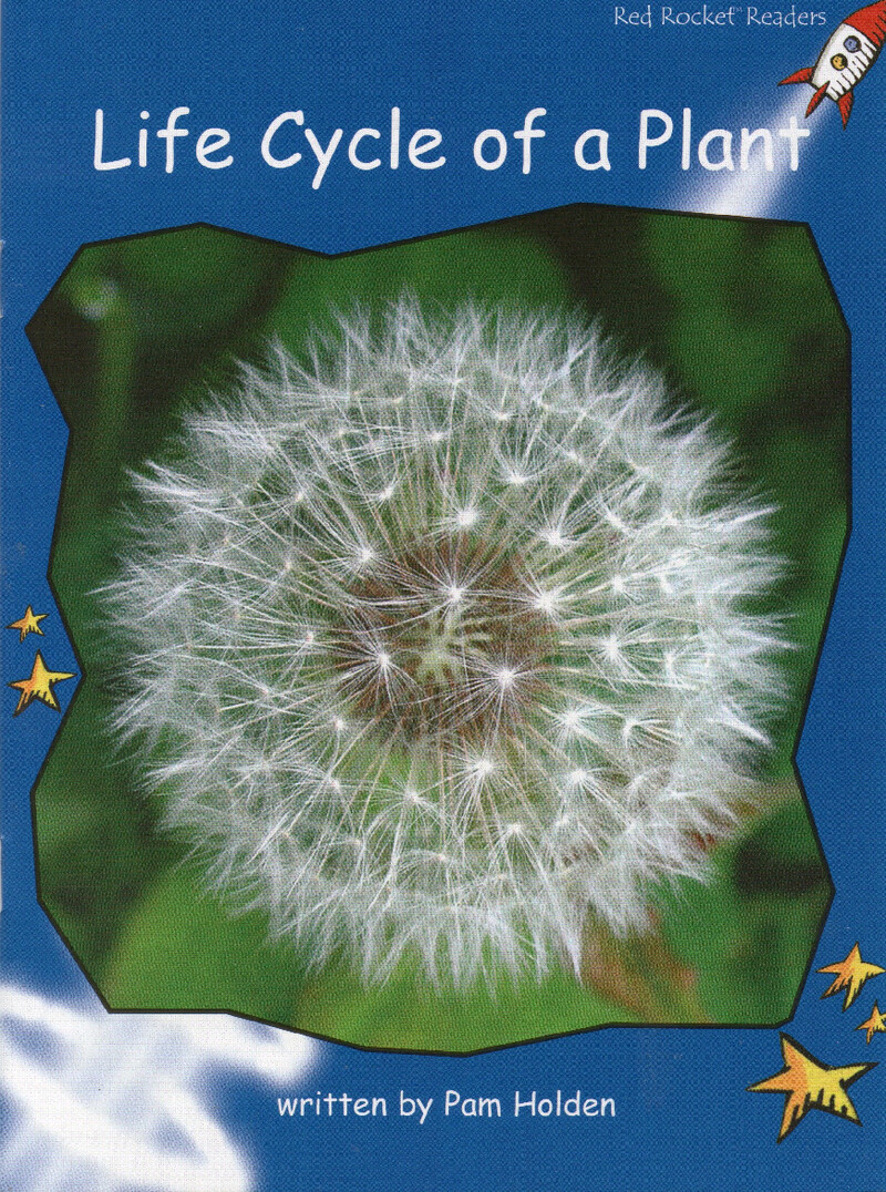 life cycle of a  plant绘本故事第2页