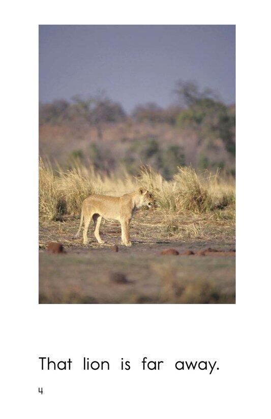 Near and Far Away绘本故事第4页