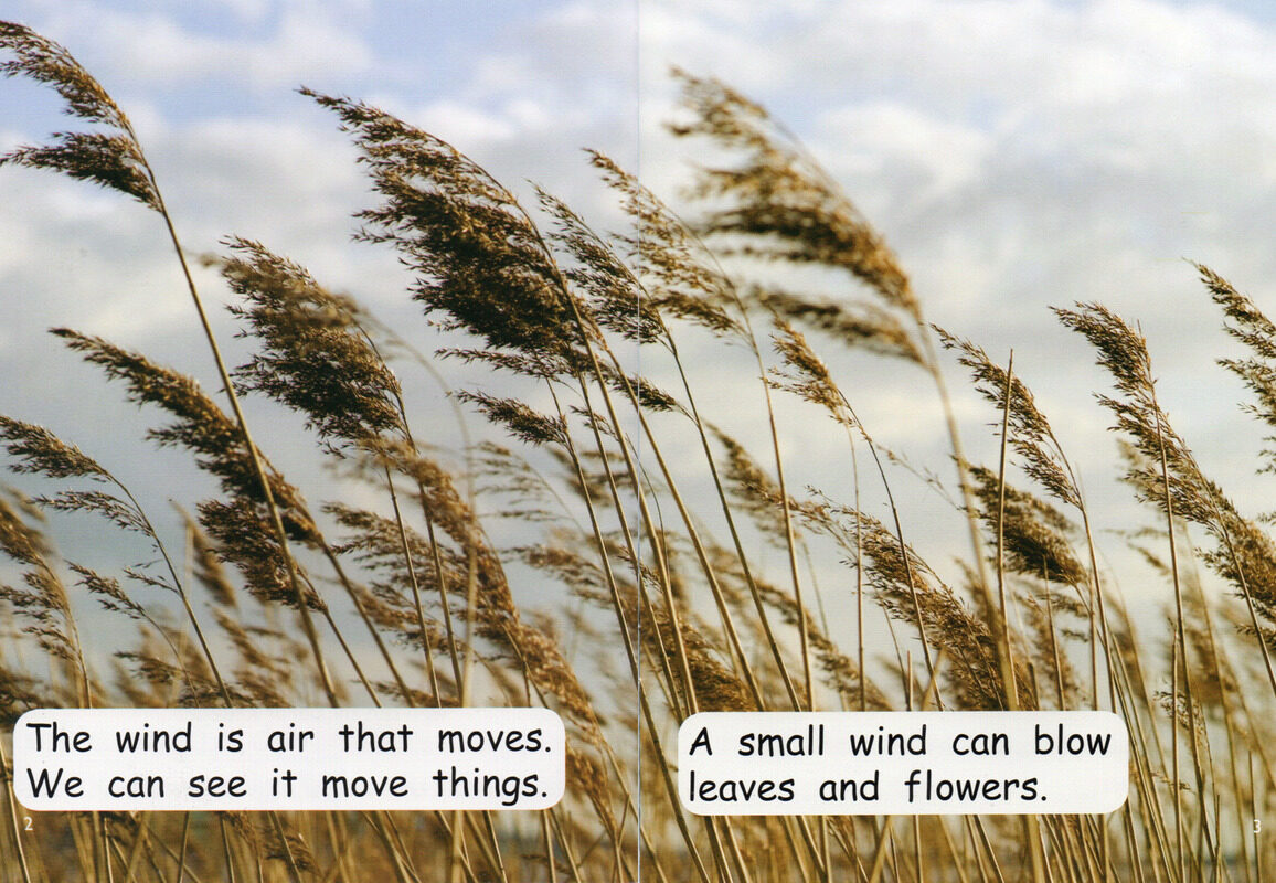 wind绘本故事第3页