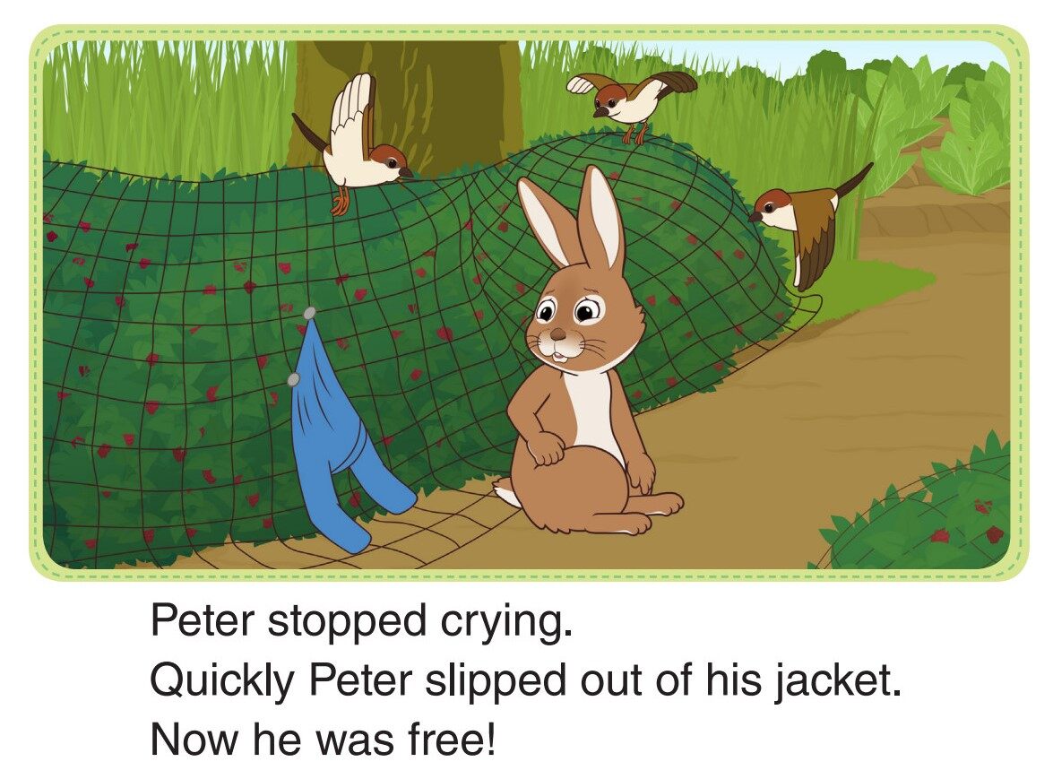 The Chase绘本故事第5页