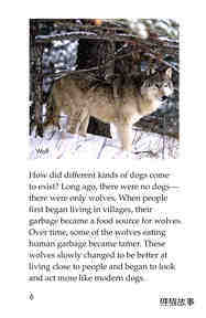 Breeds of Dogs绘本故事第5页